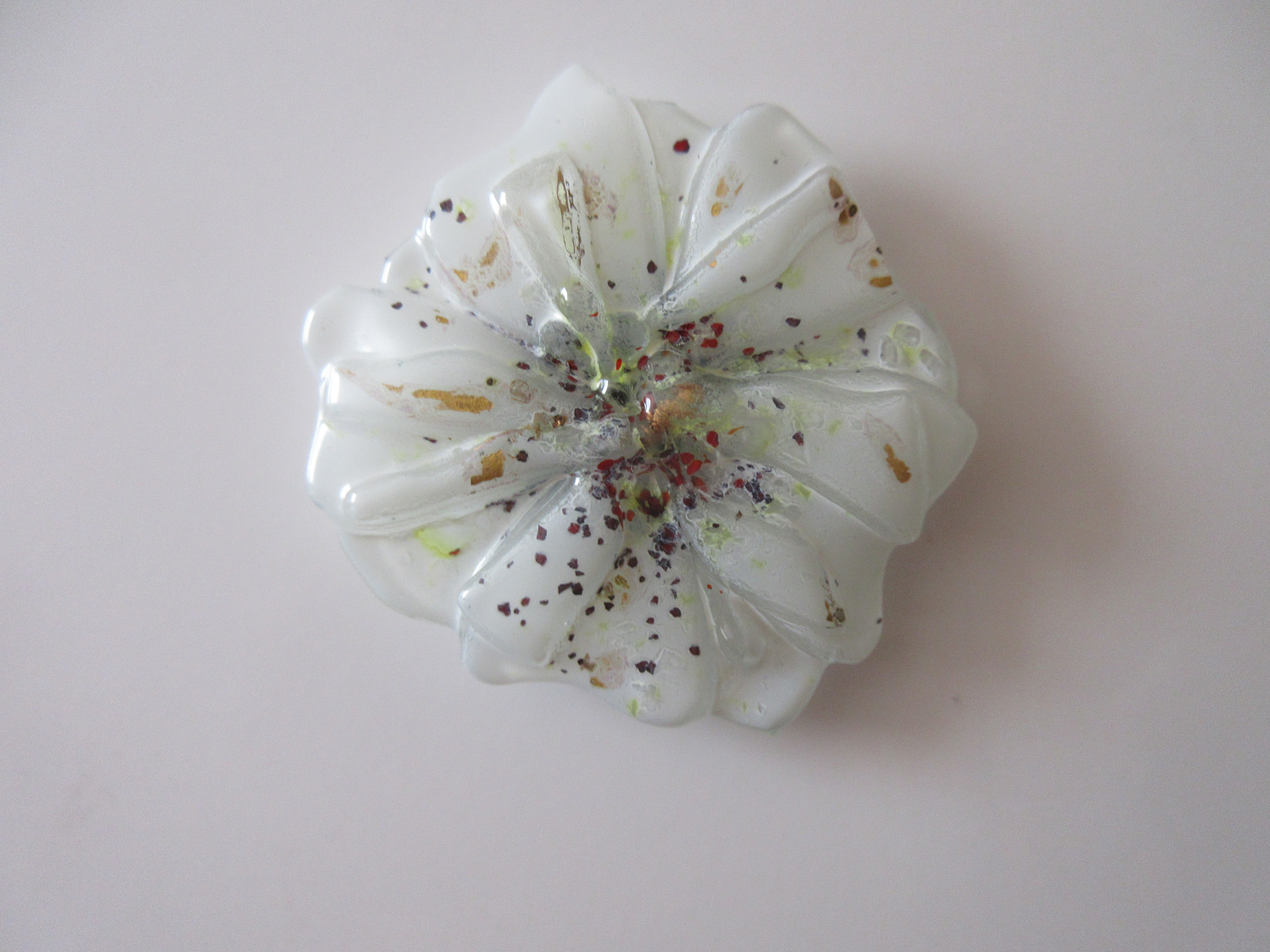 Magnetka kvet biely